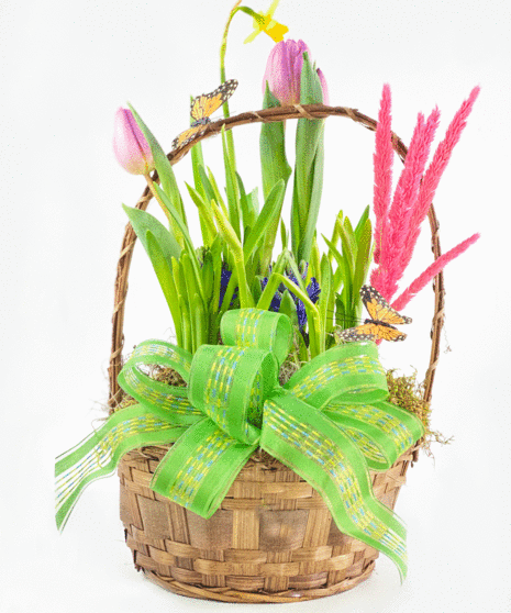 Blooming Bulb Basket